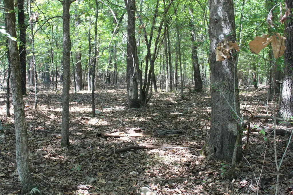 Picture 17