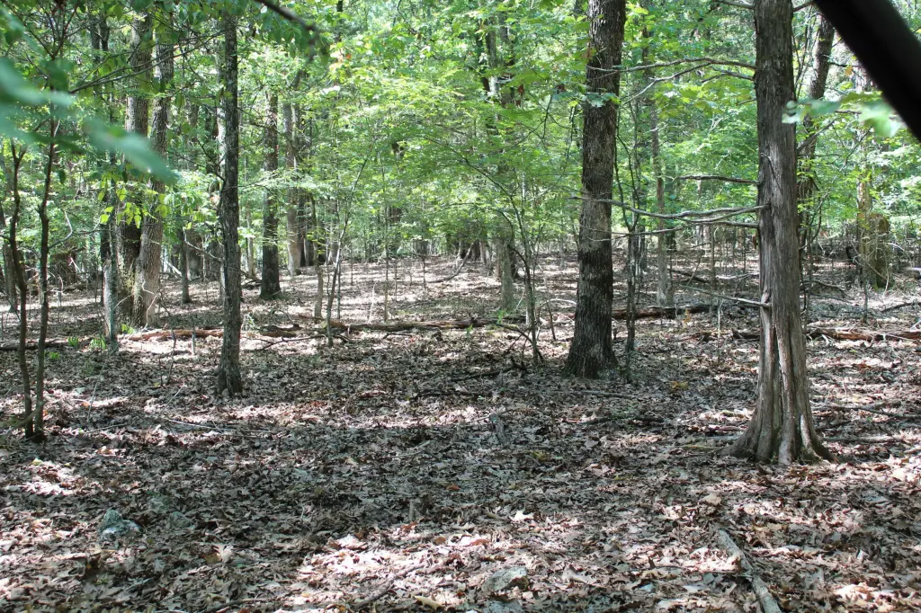 Picture 18