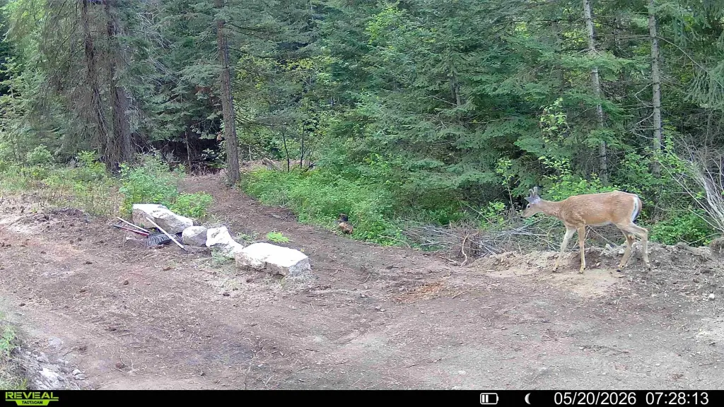 Picture 35