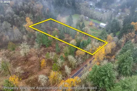Residential Land in Kelso, WA