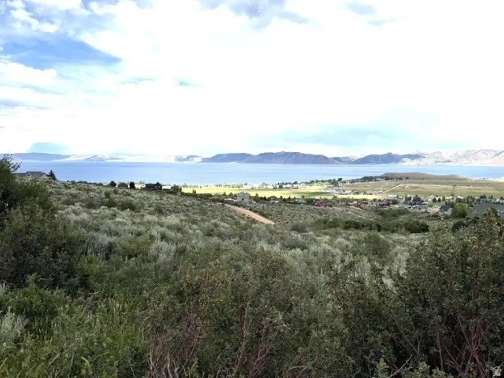 Picture 3