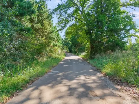 Heavily Timbered Land in East Texas