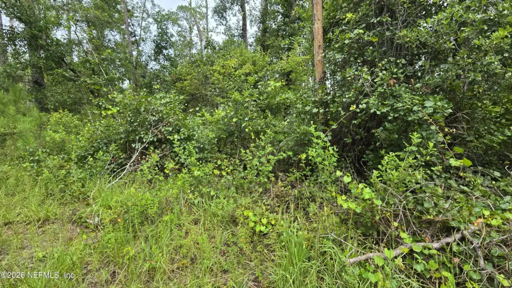 Picture 5