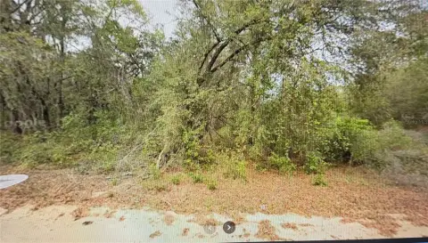 Land in Interlachen Lake Estates