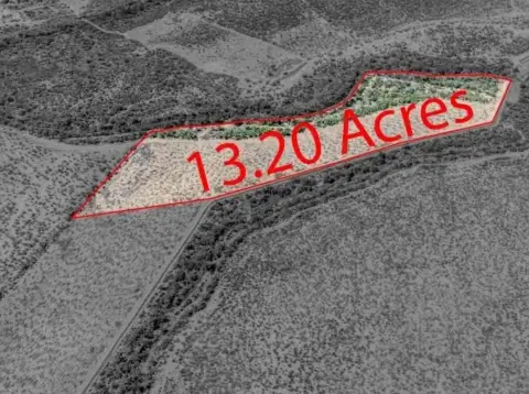 Eagle Pass Acreage on FM-2030