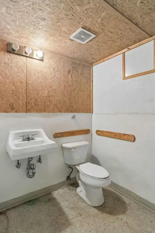 Picture 19