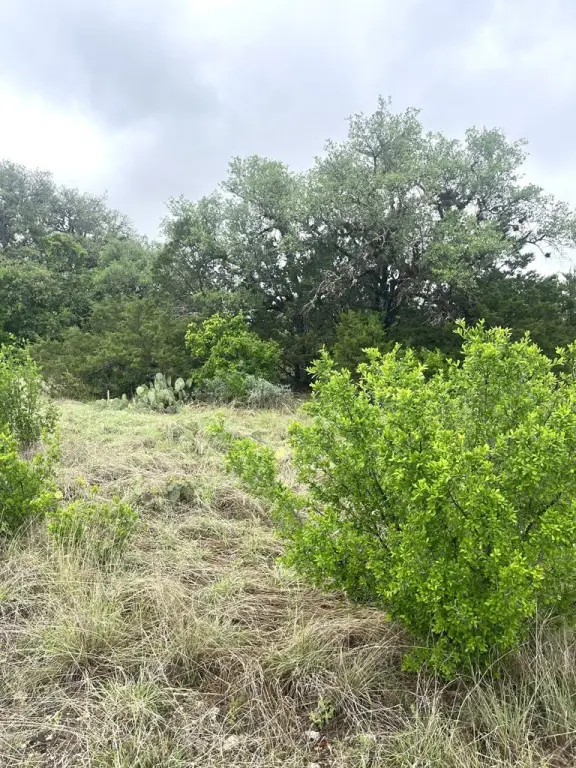 Picture 18