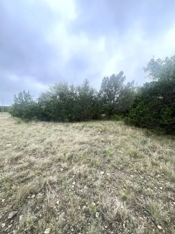 Picture 17