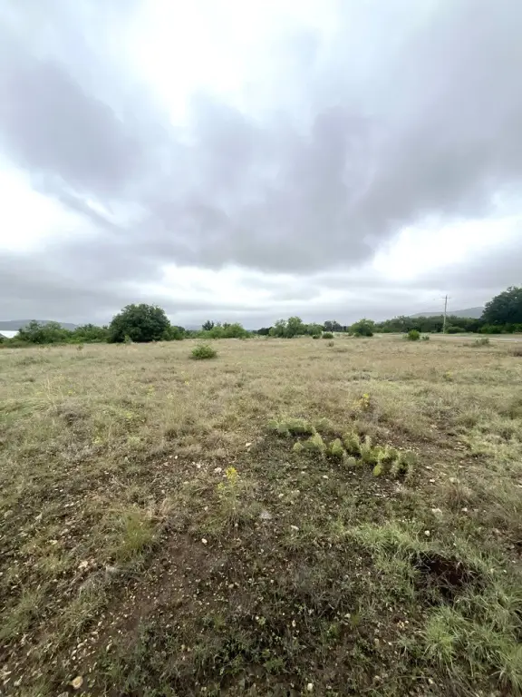 Picture 24
