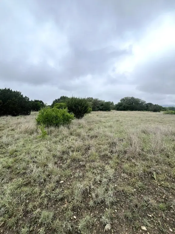 Picture 25
