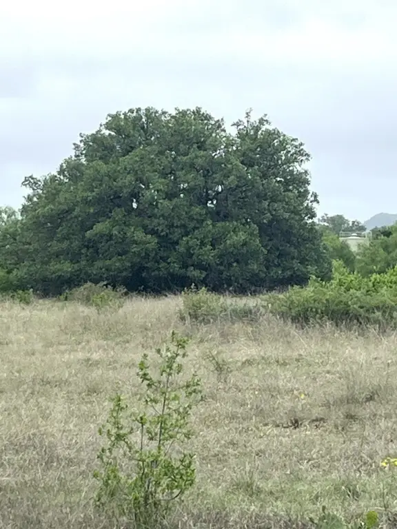 Picture 23
