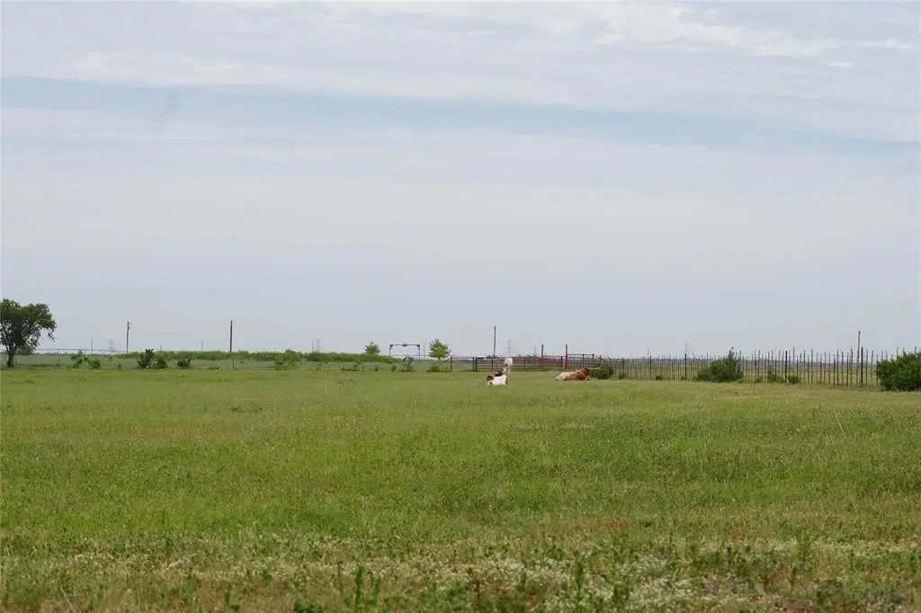 Picture 23