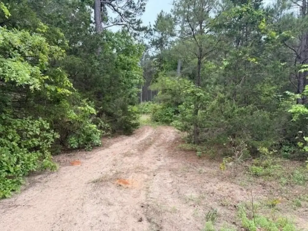 Picture 25