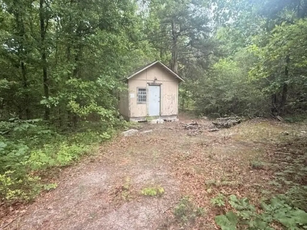 Picture 21