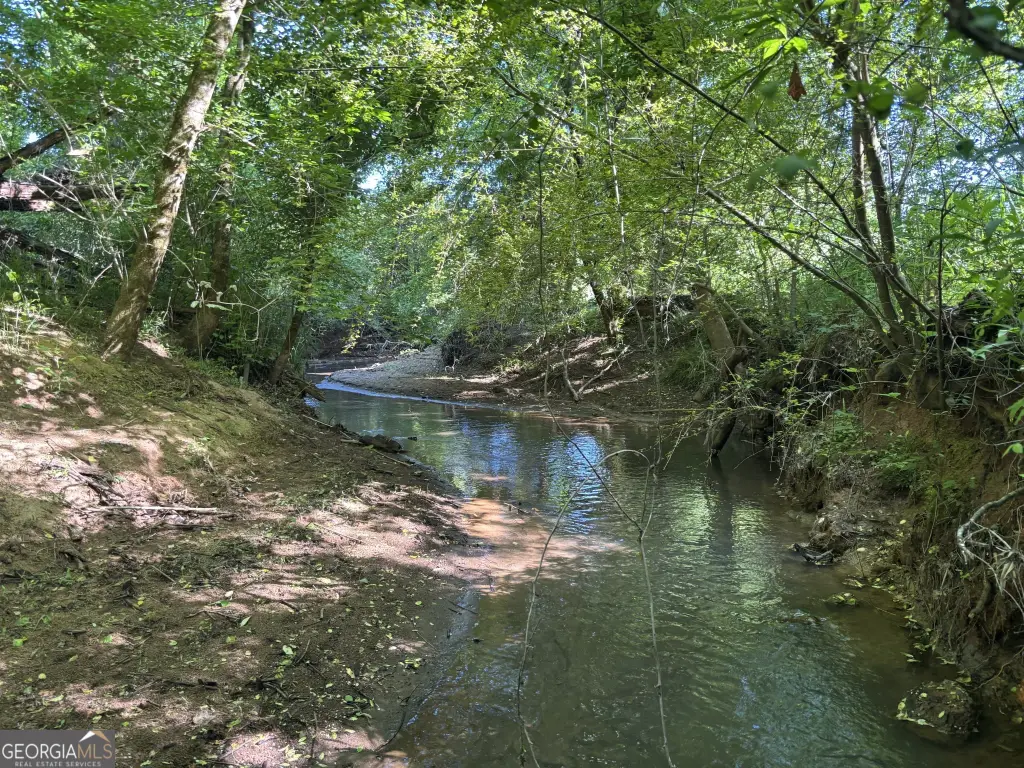 Picture 45