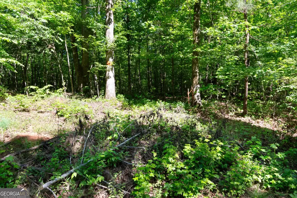 Picture 42