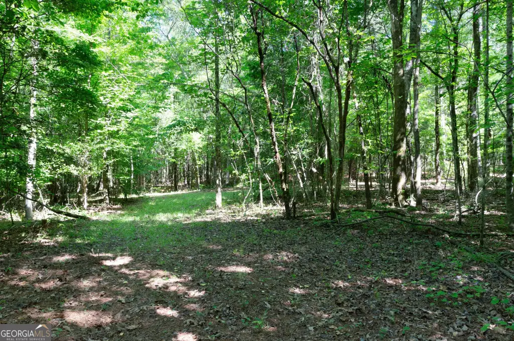 Picture 37