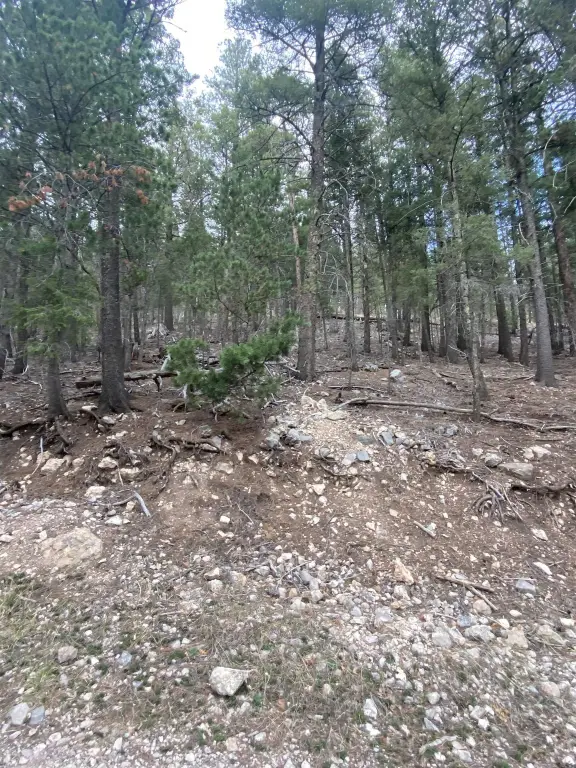 Picture 2