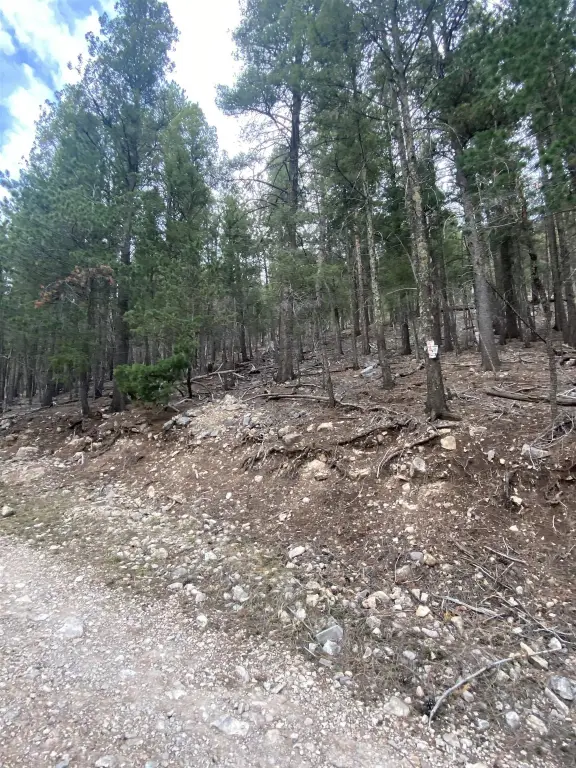 Picture 3