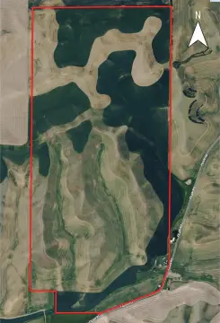 Agricultural Land Holding
