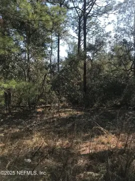Land Near St. Johns River