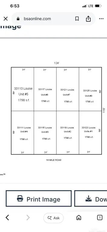 Picture 5
