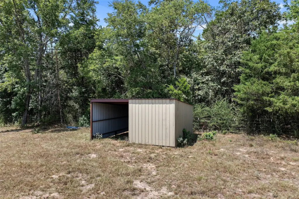 Picture 17