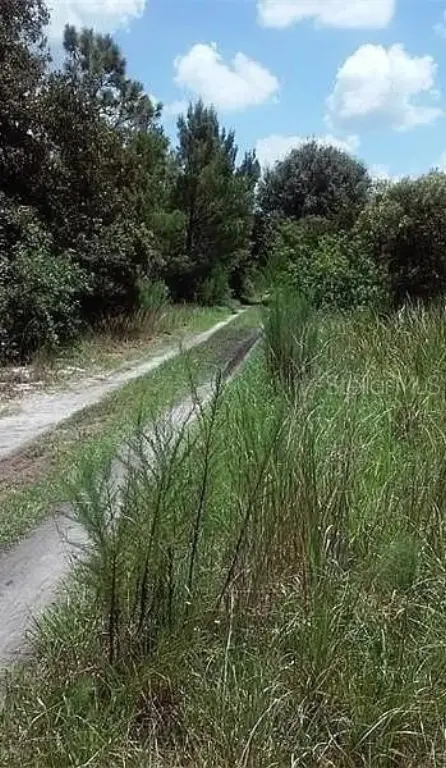 Picture 7