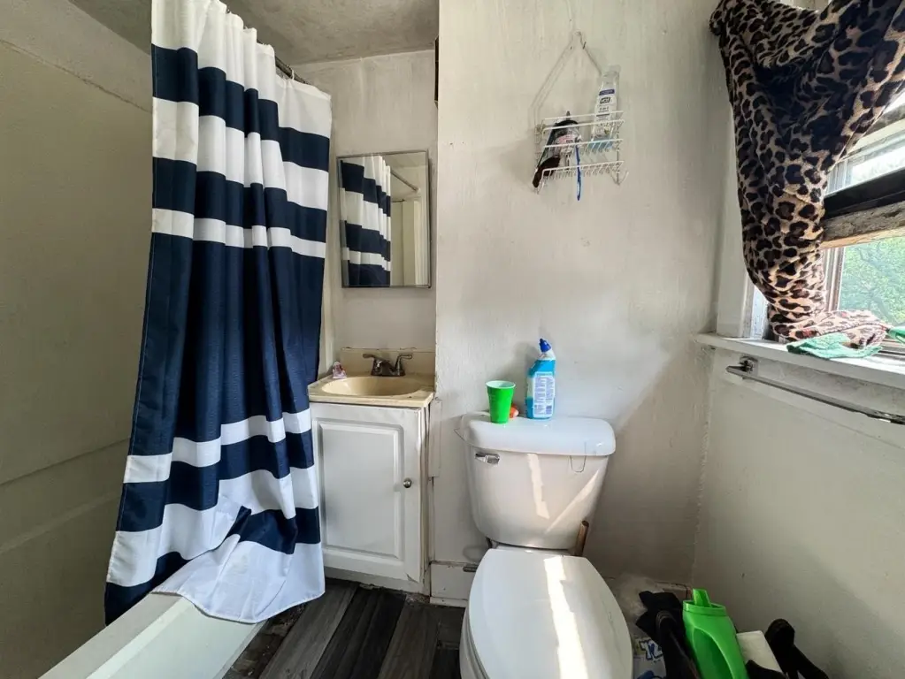 Picture 19