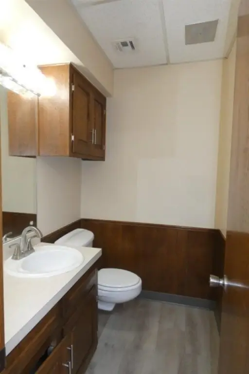 Picture 19