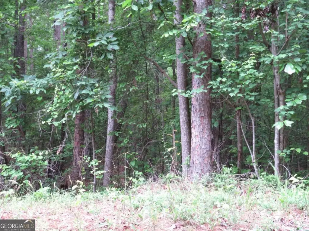 Picture 8