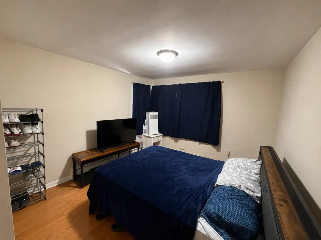 Picture 6