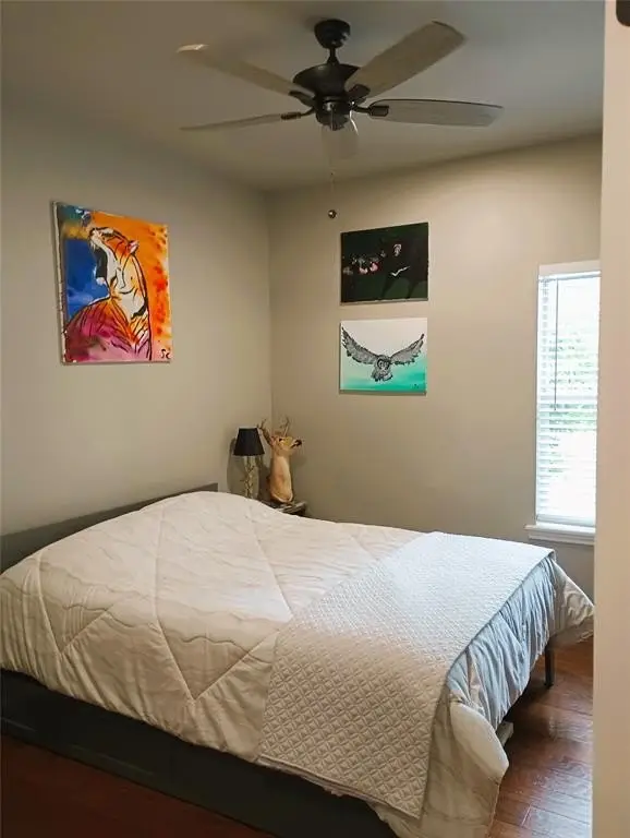 Picture 17