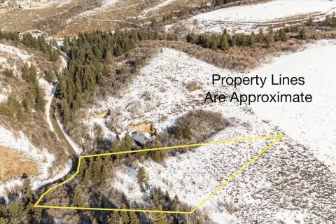 Pocatello Residential Land with Trees