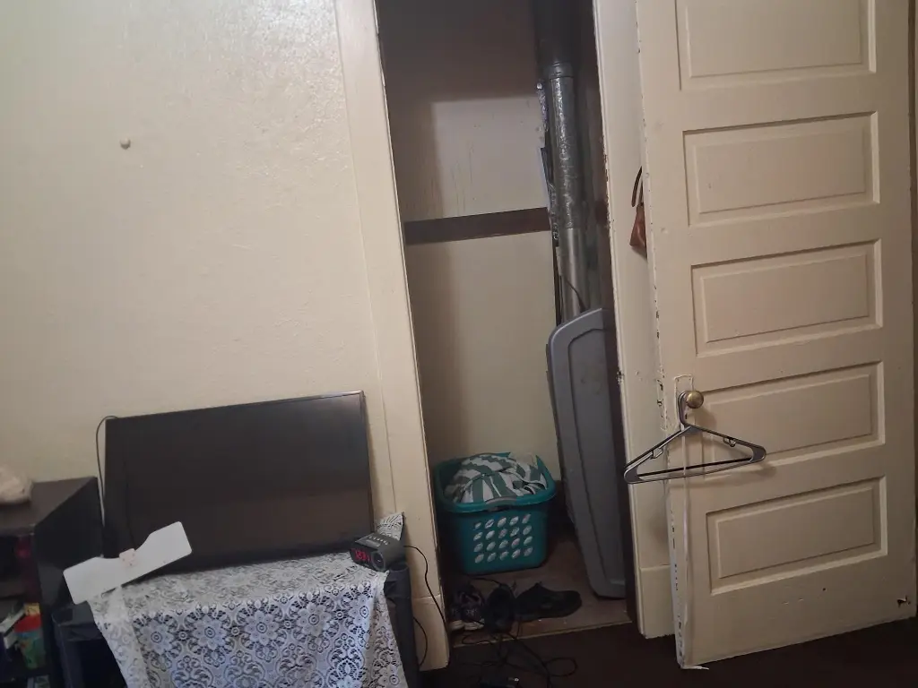 Picture 5