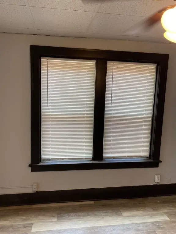 Picture 18