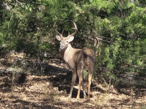 Gated Land Near Weatherford