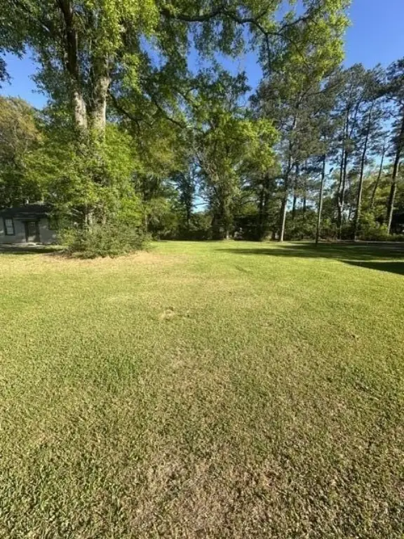 Picture 3