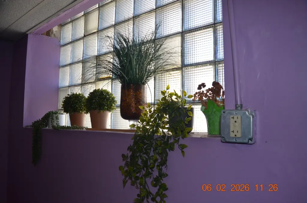 Picture 27