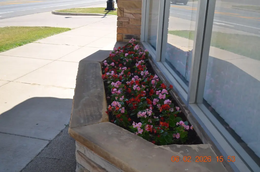 Picture 12