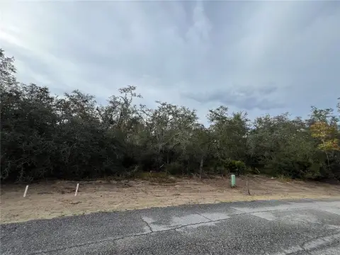 Vacant Land in Poinciana