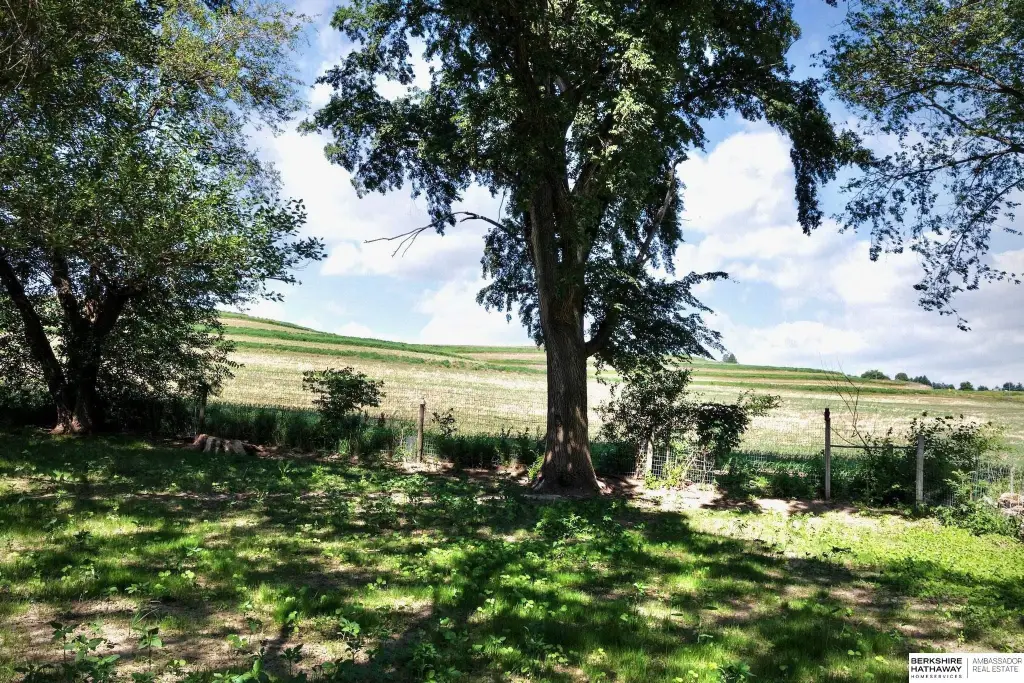 Picture 33