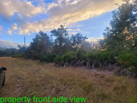 Residential Lot in Lehigh Acres