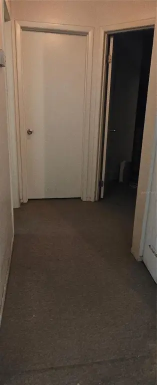 Picture 27