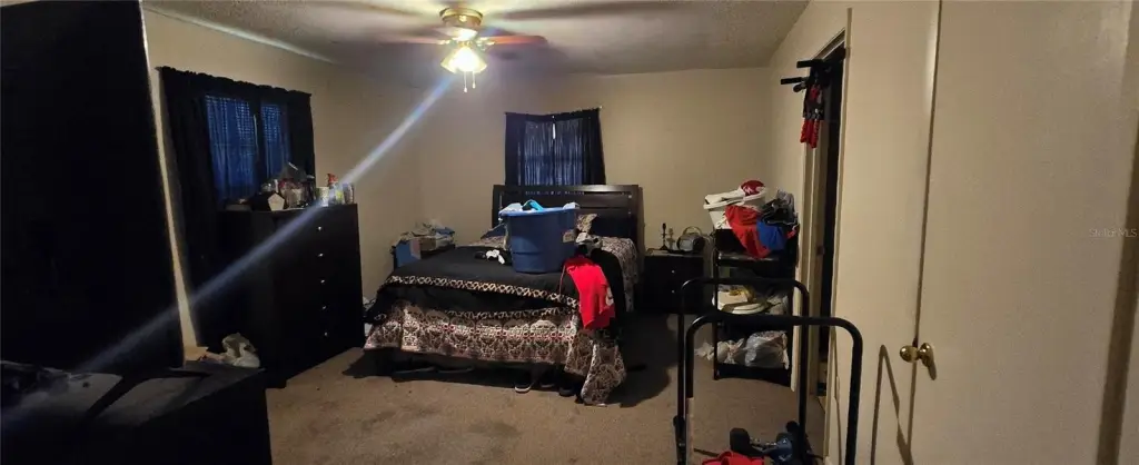 Picture 29