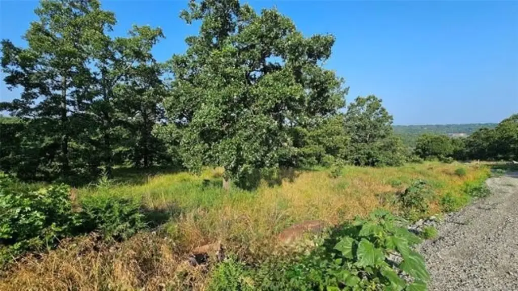 Picture 8