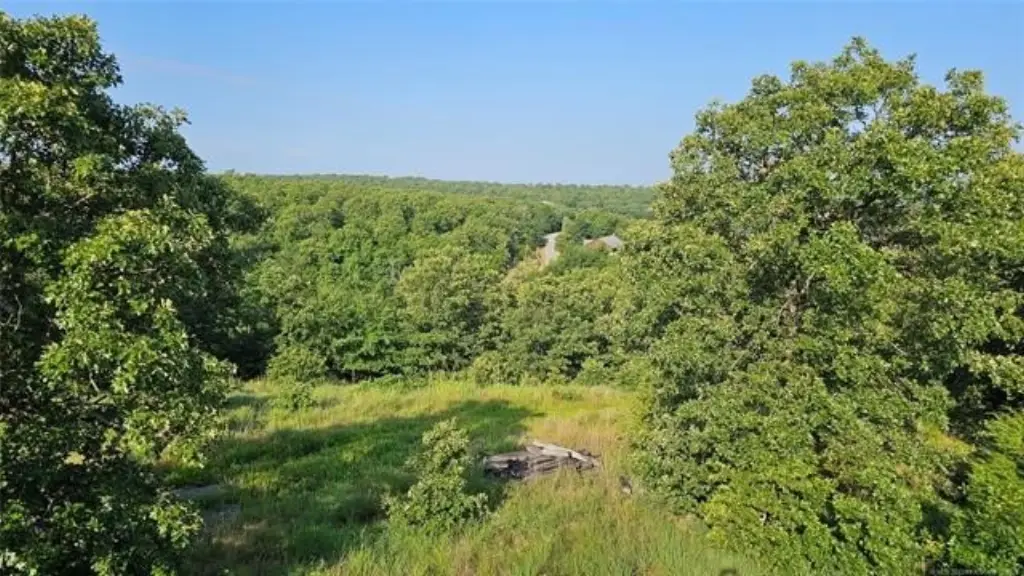 Picture 9