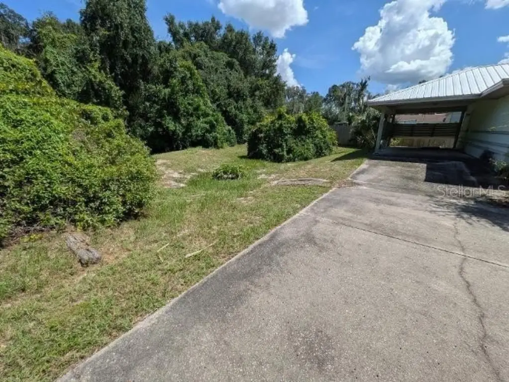 Picture 5