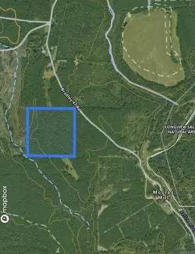 40 Acres Hunting and Timber