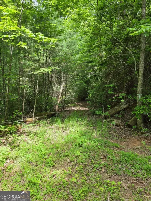 Picture 22
